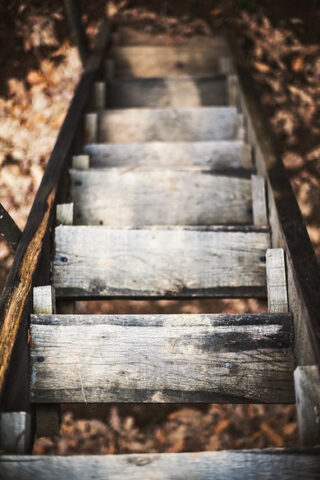 Photograph of wooden steps Photograph of wooden steps