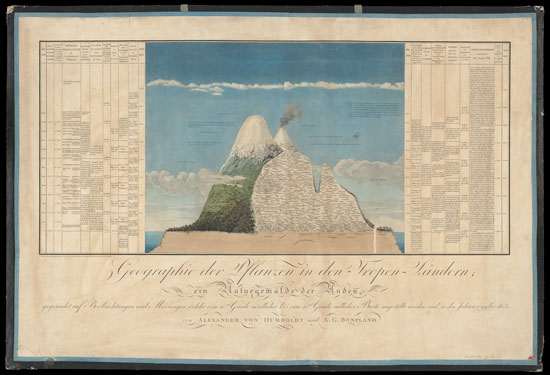 A cross-sectional illustration of Chimborazo and Cotopaxi volcanoes annotated with detailed information about plant geography by Humboldt and Aimé Bonpland