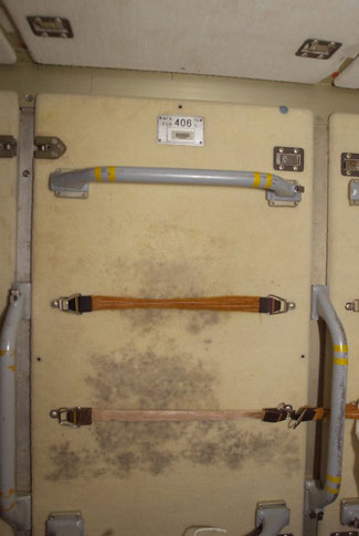 Dark mold on a space station wall