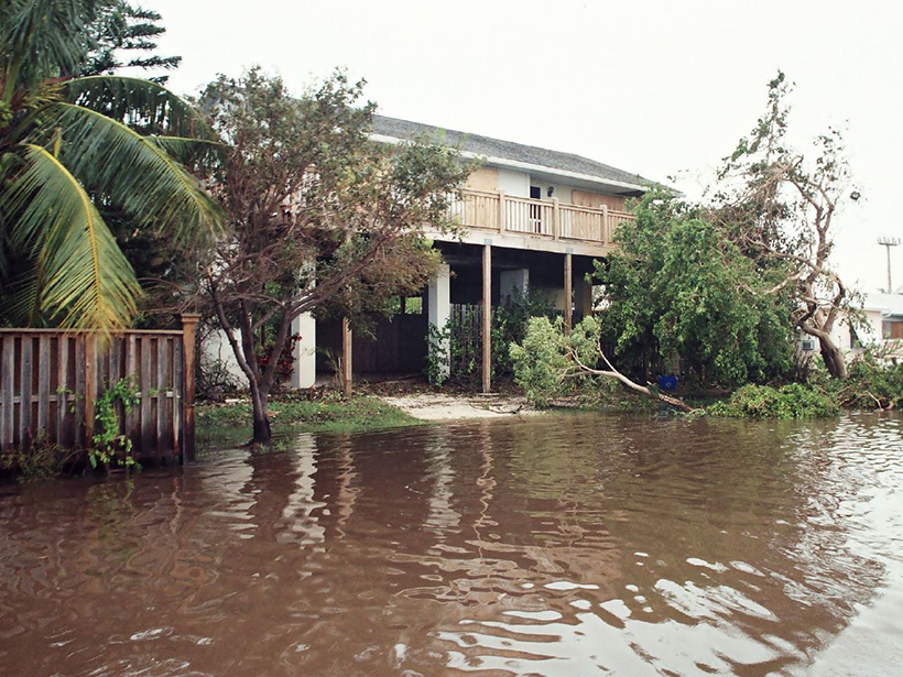 Photo of a flooded street, a house on stilts, and felled trees
