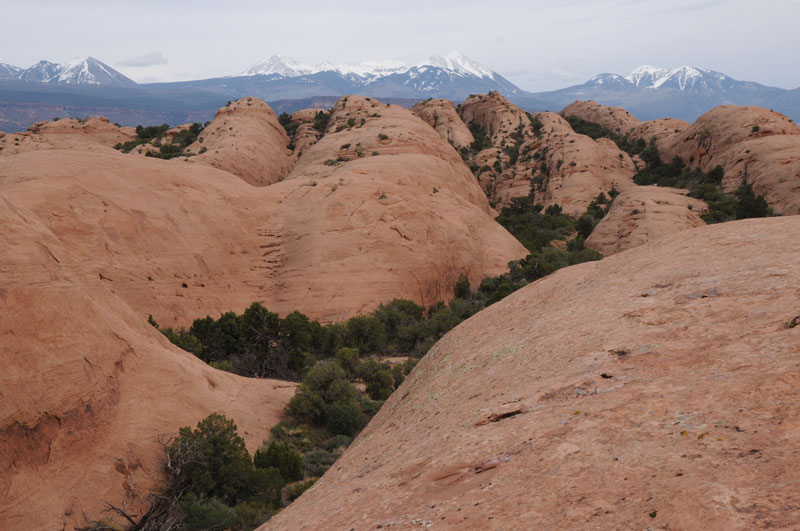 Sandstone landscape in front of snow-topped mountains Sandstone landscape in front of snow-topped mountains
