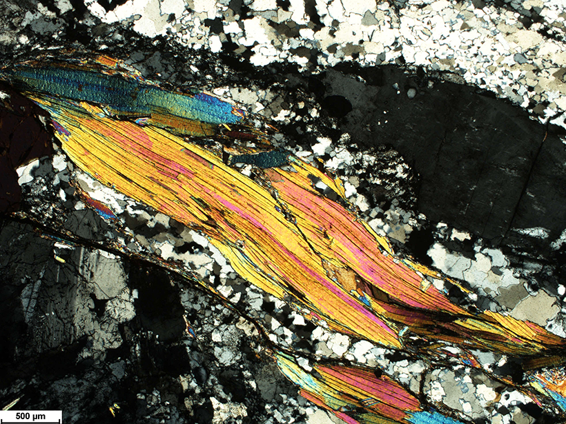 Muscovite in polarized light