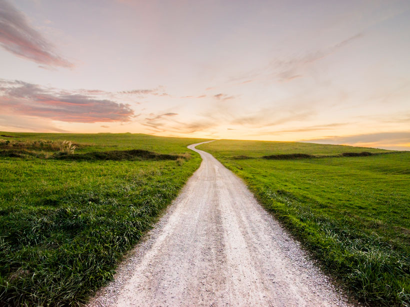 A path in a field