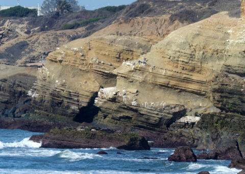 Photo of beige, layered rock at the edge of the ocean Photo of beige, layered rock at the edge of the ocean