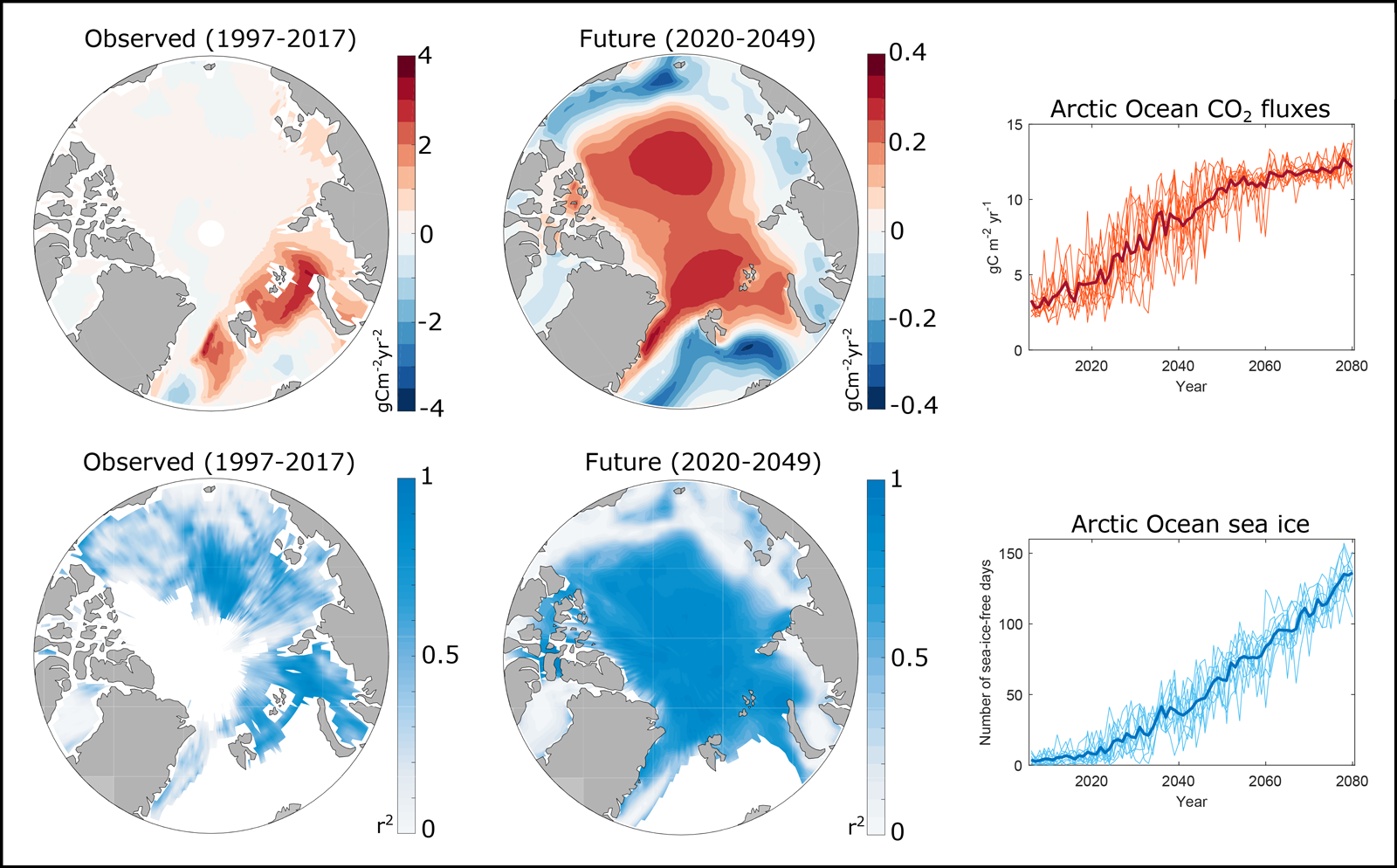 Observed trends and projections for mean CO2 flux and ice-free days in the Arctic Ocean