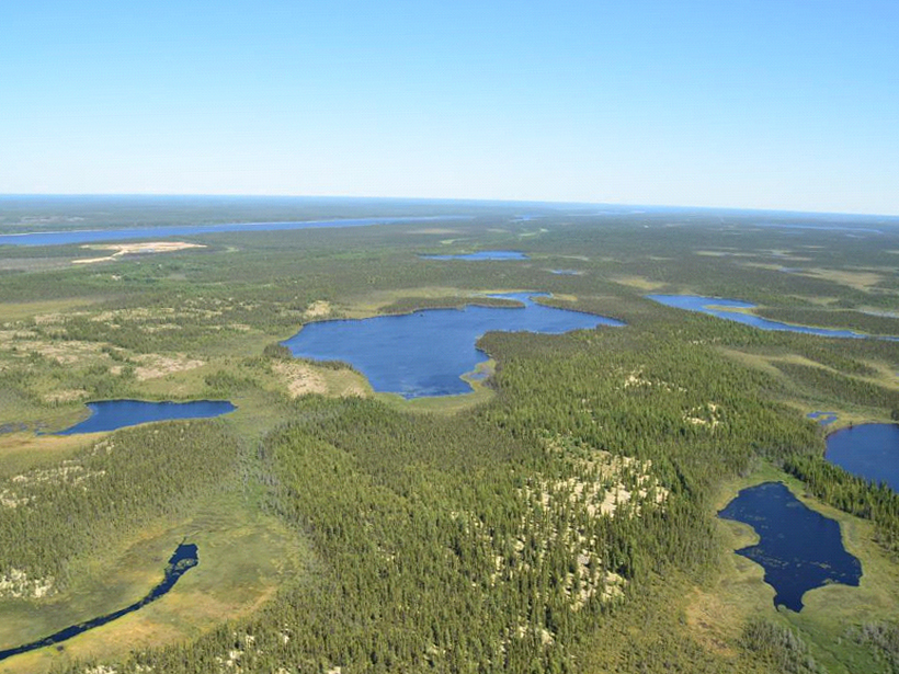 The landscape in James Bay, Quebec, Canada, consists of hydrologically interconnected forests, wetlands, rivers, and lakes.