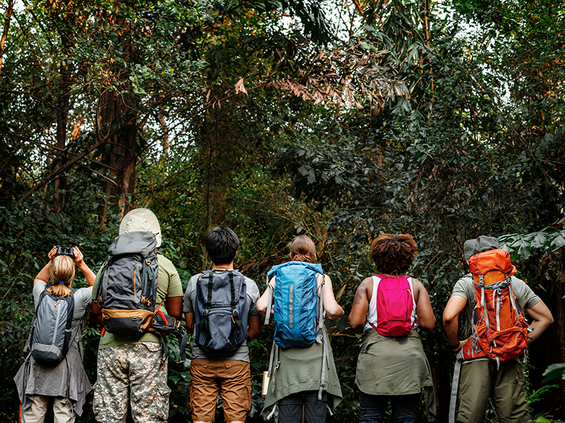Group of hikers