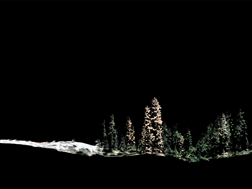 Side view of individual trees generated in a lidar image