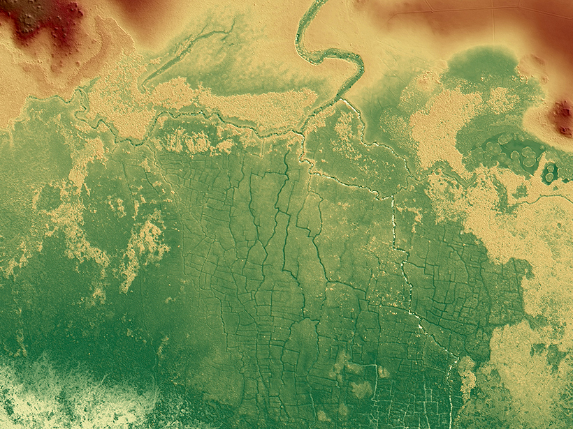 Digital elevation map of canals at ancient Maya site Belize