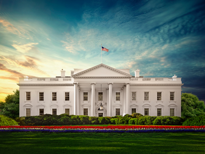 The White House foregrounded by red, white, and blue tulips
