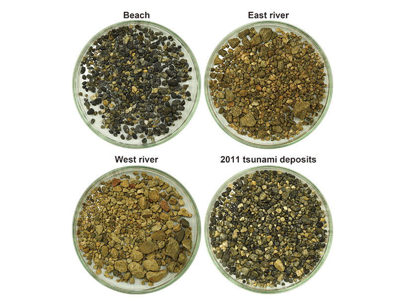Four petri dishes filled with gravel