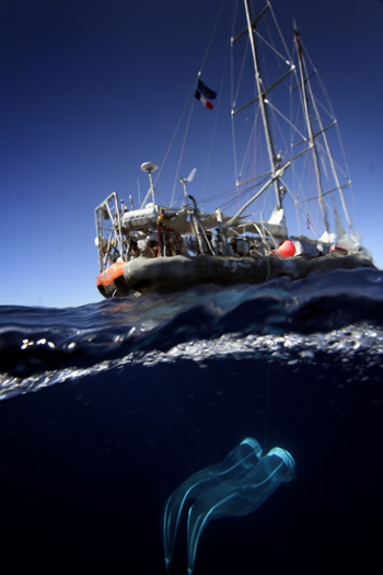 Sailboat traveling through water with plankton nets underwater