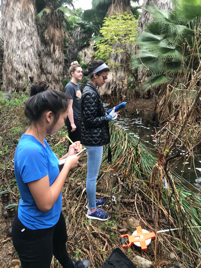Three researchers take notes along a small creek lined with palm trees.