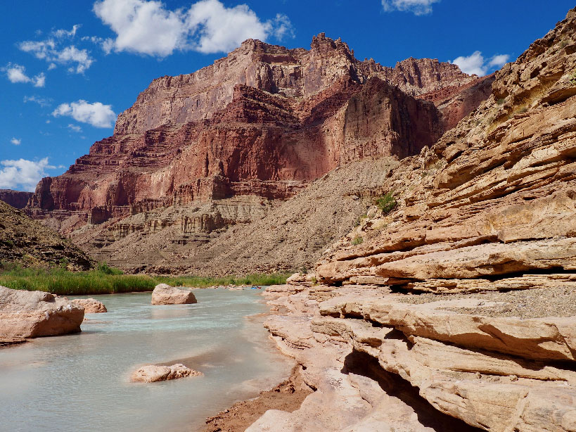A milky blue river flows past sandstone ledges just upstream from where the Little Colorado River meets the main channel of the Grand Canyon.