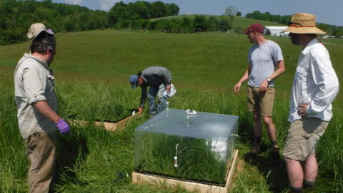Four scientists gather around a plexiglass chamber within a green, grassy pasture.