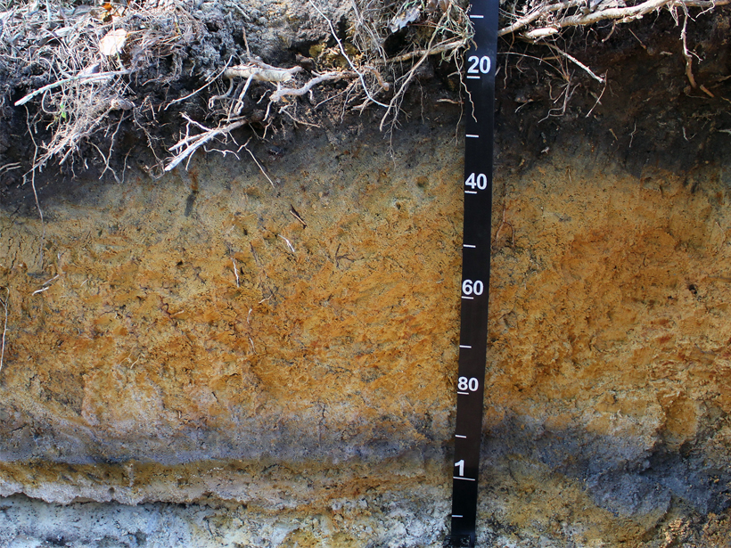 Brightly colored soil layers and a yardstick or ruler