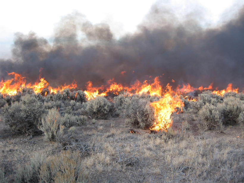Controlled burn in a sagebrush ecosystem in Hart Mountain National Antelope Refuge in southeastern Oregon