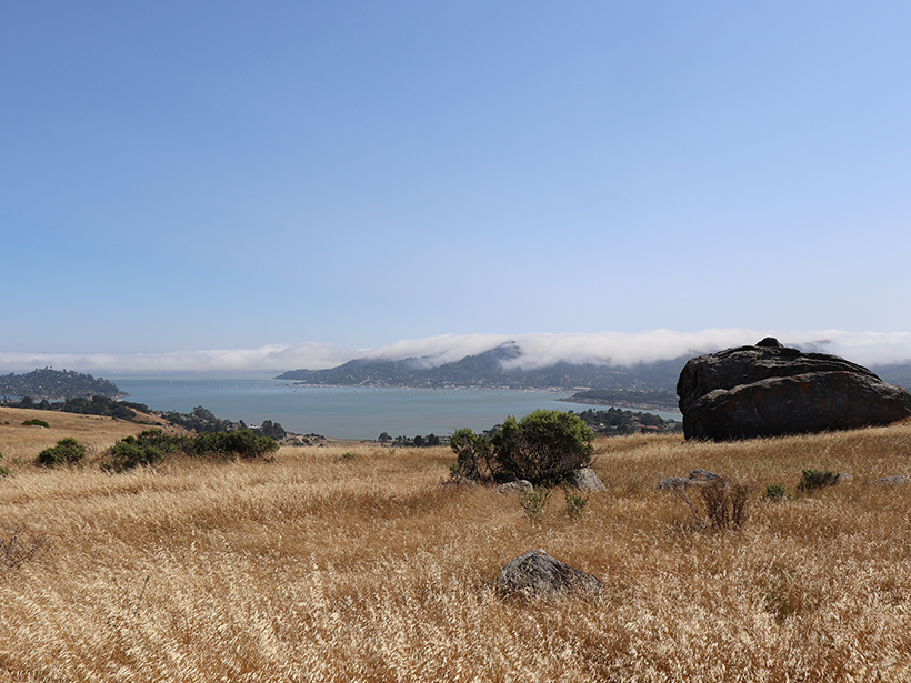 Ring Mountain in California