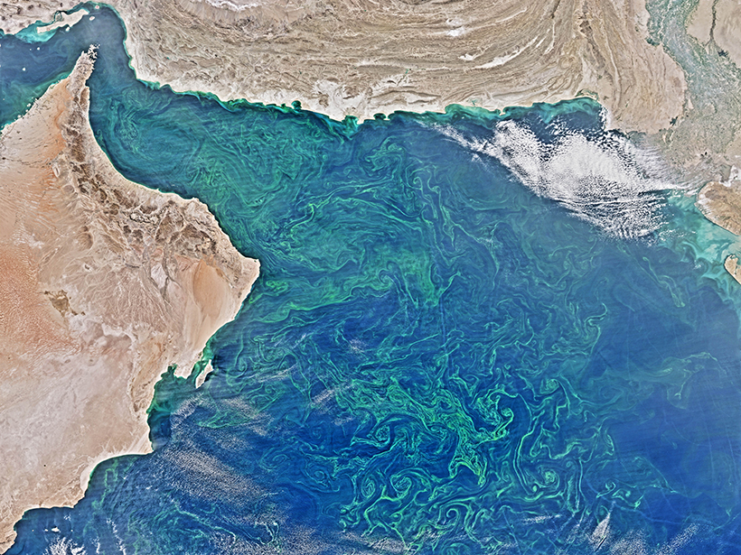 Swirls of photosynthetic algae thrive in the Arabian Sea in February 2015.