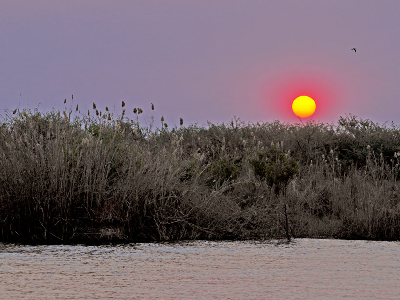 The Sun sets over the banks of the Chobe River.