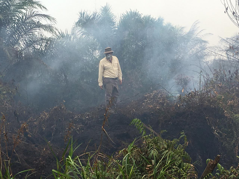 A man in a gas mask stands atop a smoldering tropical fire.