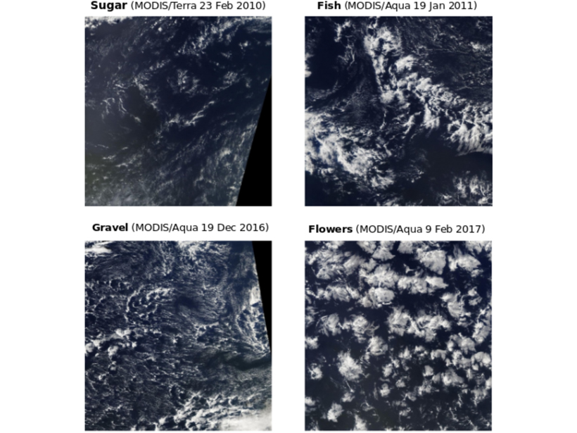 Satellite images of four types of marine shallow clouds with different patterns