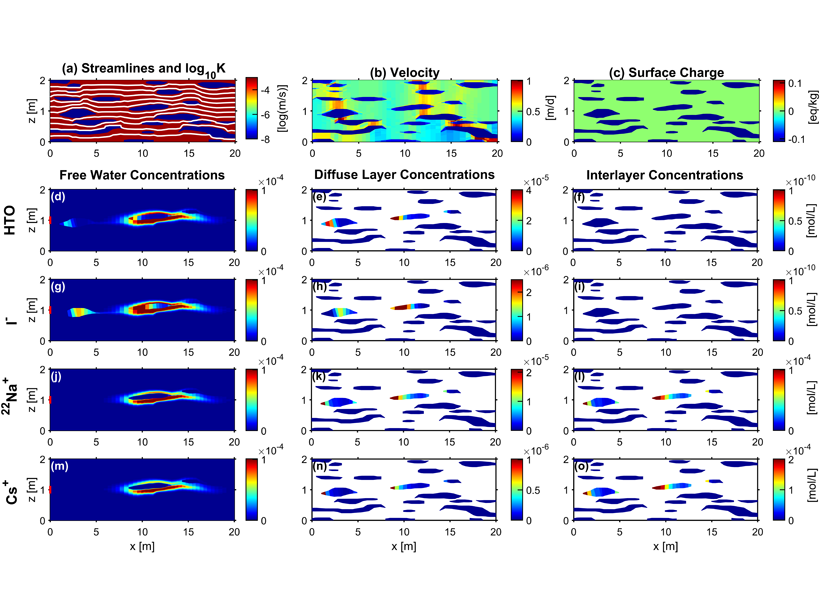 Multicomponent ionic transport simulations in a physically and electrostatically heterogeneous domain