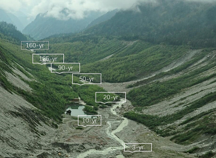 Retreating glacier with vegetation succession marked from 3 years to 160 years