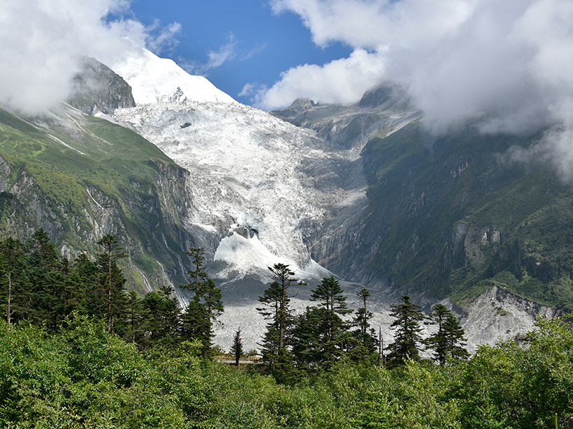 Forest at the foot of Hailuogou Glacier, China