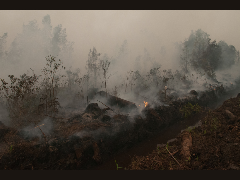 Smoldering peat fire emits a hazy smoke over a tropical forest