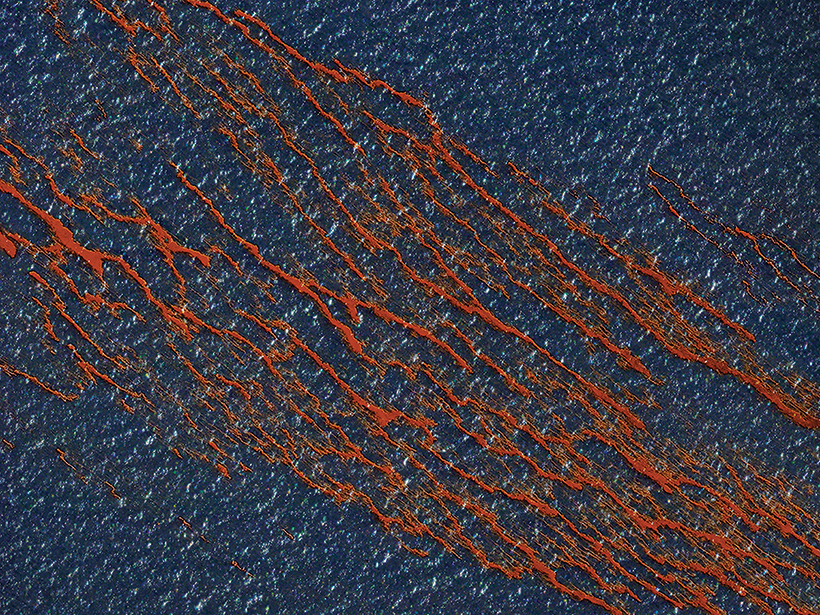 Oil from the Deepwater Horizon disaster floats in the Gulf of Mexico in April 2010.
