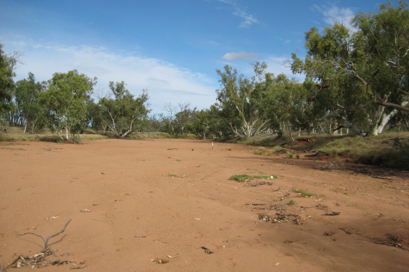 The dry riverbed of the Woodforde River in central Australia The dry riverbed of the Woodforde River in central Australia