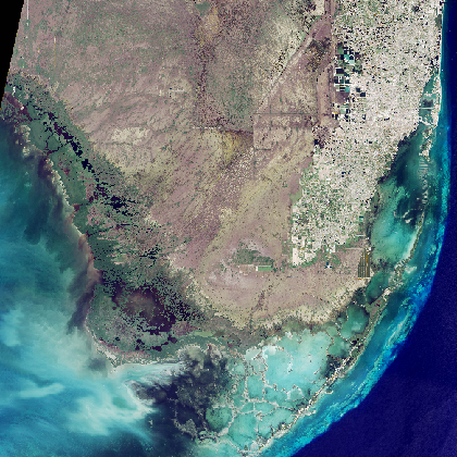 A satellite image of South Florida shows the Everglades in brown flowing to the southwest, next to the eastern coastal metropolis of Miami, in white.