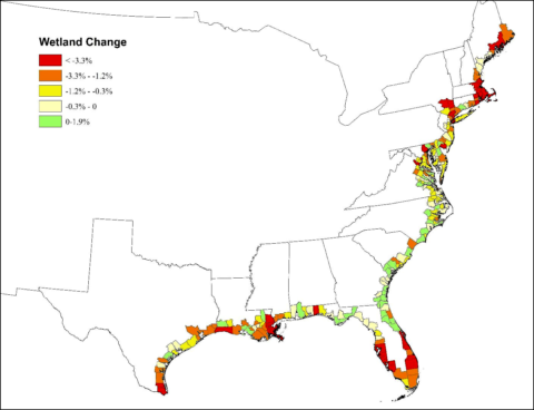 A map of the U.S. Atlantic and Gulf coasts with counties colored based on the change in wetland area from 1996 to 2010