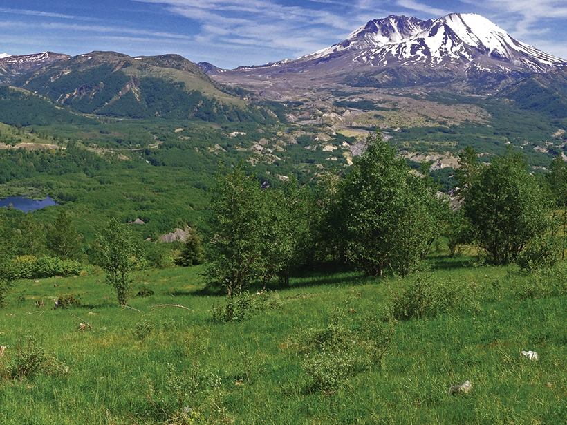 Biotic consequences of a volcanic flank collapse. (a) Flank collapse is