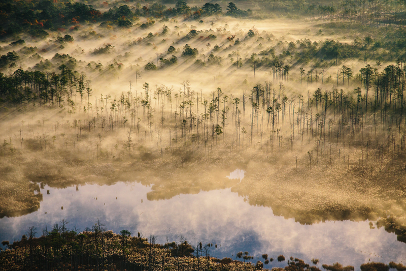 Aerial image of the Chesapeake Bay intruding on marshlands of Blackwater National Wildlife Refuge.