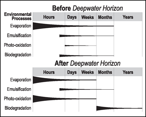 Diagram illustrating the relative importance of floating surface oil weathering processes as understood before and after the 2010 Deepwater Horizon spill