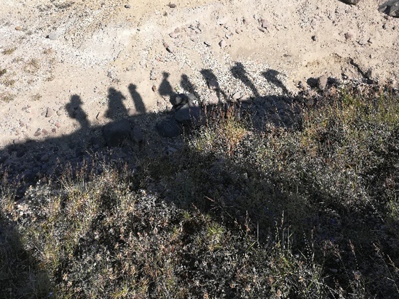 Shadows of girls hiking in a line