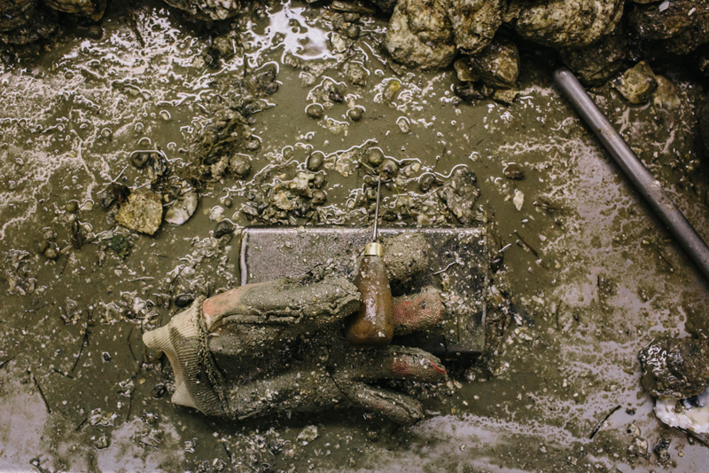 A glove from an oyster shucker is covered in so much sand and mud that it retains its shape even when the shucker goes on a break.