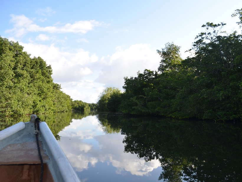A view of the San Juan Bay Estuary