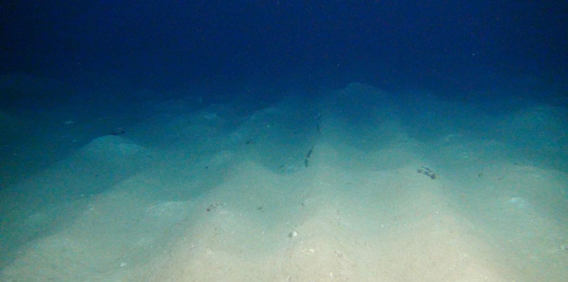 Tracks from a ploughing mechanism line the seafloor