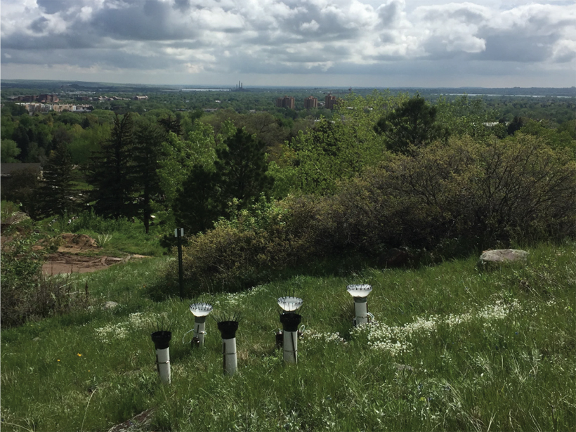 Photograph of bulk deposition collectors capturing atmospheric dust at Four Pines, Colorado