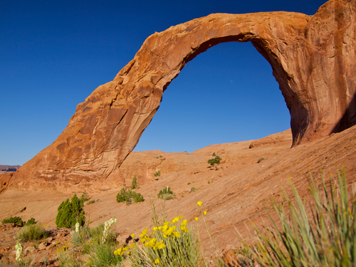 Corona Arch photographed from underneath, showing a curve of red rock against a blue sky