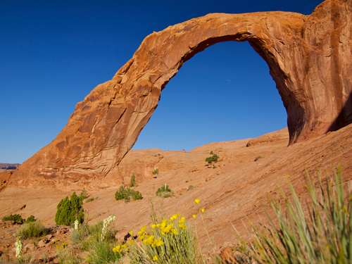 Corona Arch photographed from underneath, showing a curve of red rock against a blue sky Corona Arch photographed from underneath, showing a curve of red rock against a blue sky