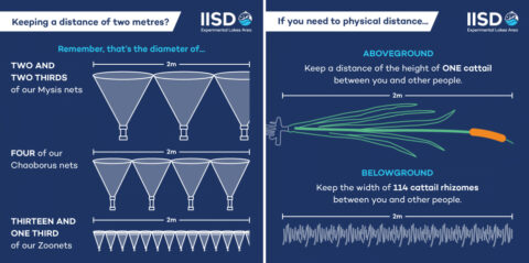 Tips on social distancing for IISD-ELA Tips on social distancing for IISD-ELA