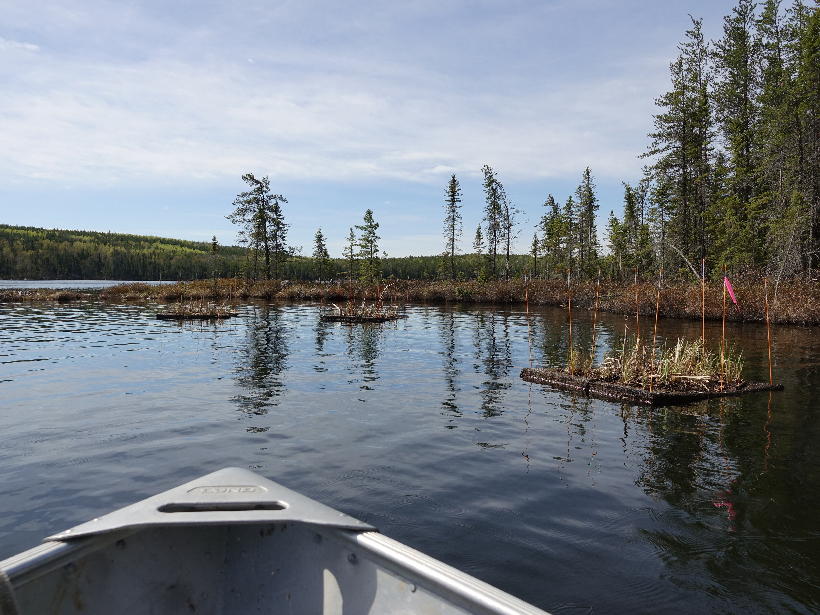 Tip of a small boat leads into the placid near shore of a forested lake.