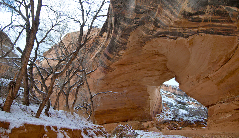 Kachina Bridge is a large arch spanning a creek in Natural Bridges National Monument, Utah.