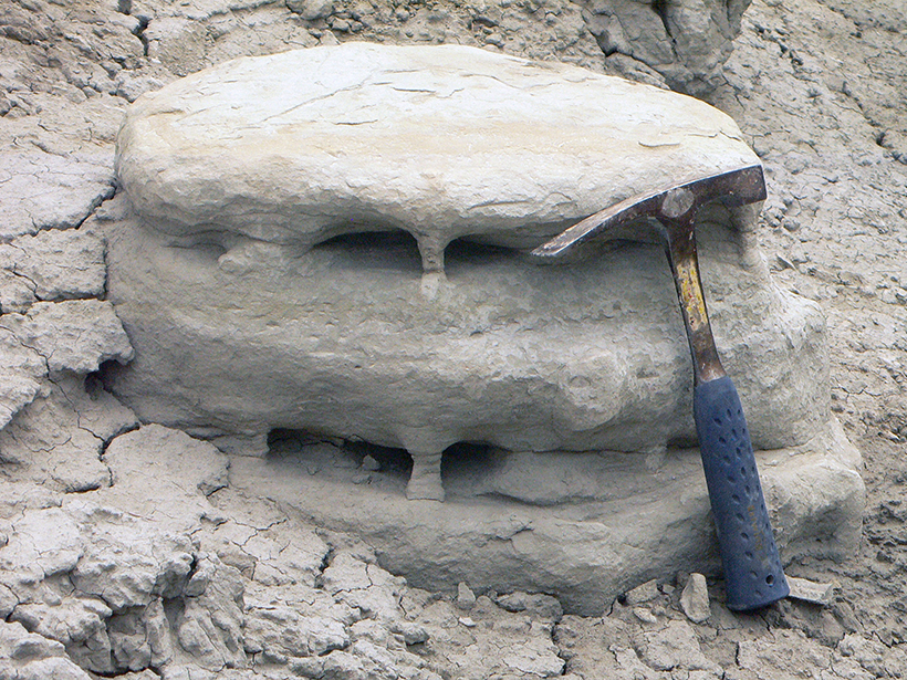 Close-up of a rock containing methane-derived carbonates