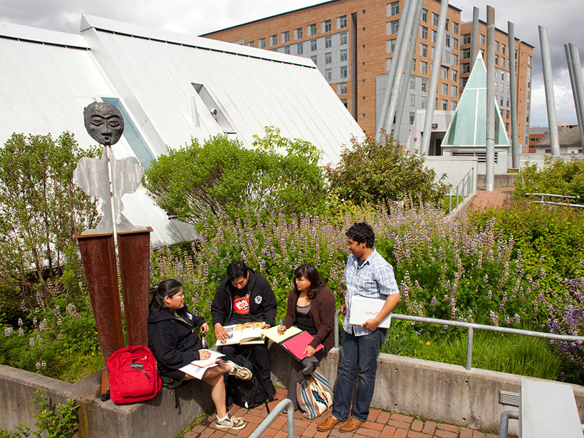 Four students on a rooftop patio surrounded by vegetation