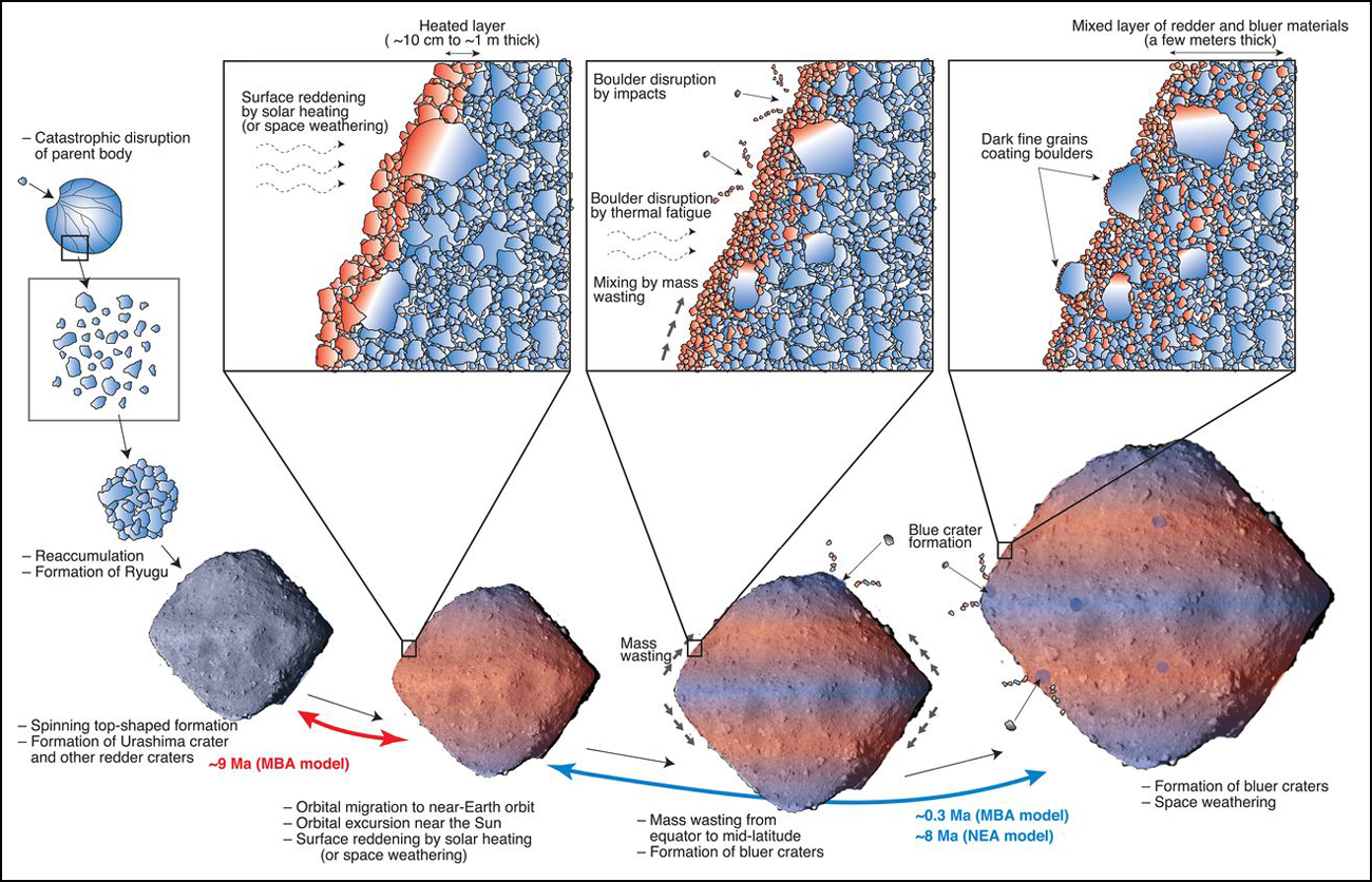 Diagram outlining the formation of the asteroid Ryugu Diagram outlining the formation of the asteroid Ryugu
